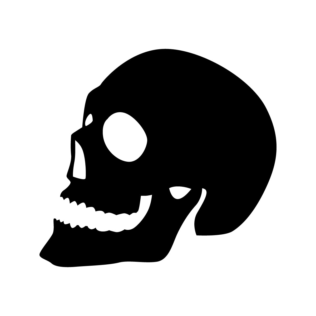 SKULL PACK (2 pieces)