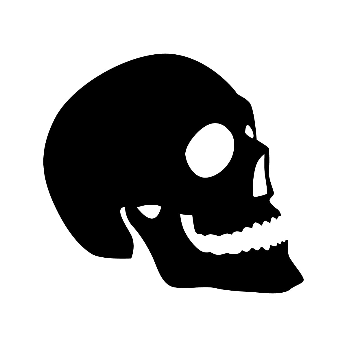 SKULL PACK (2 pieces)